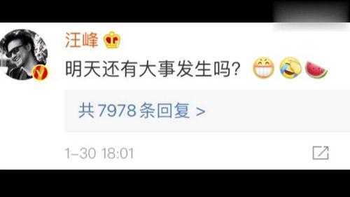 娱乐圈吃瓜帖子是什么