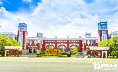 娱乐吃瓜酱华东政法大学