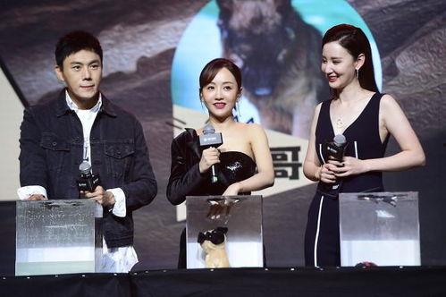 娱乐圈吃瓜爆料一天五位,揭秘五位明星幕后故事