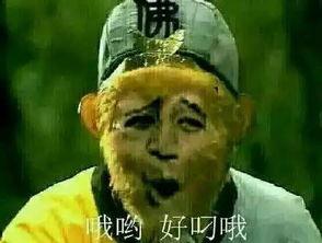 孙悟空吃瓜表情包是什么意思啊,揭秘网络流行文化的趣味解读