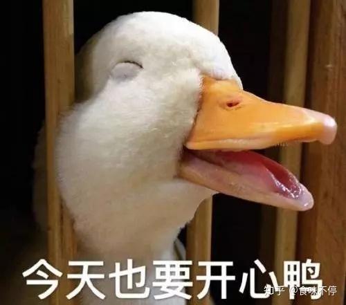 娱乐吃瓜鸭鸭鸭